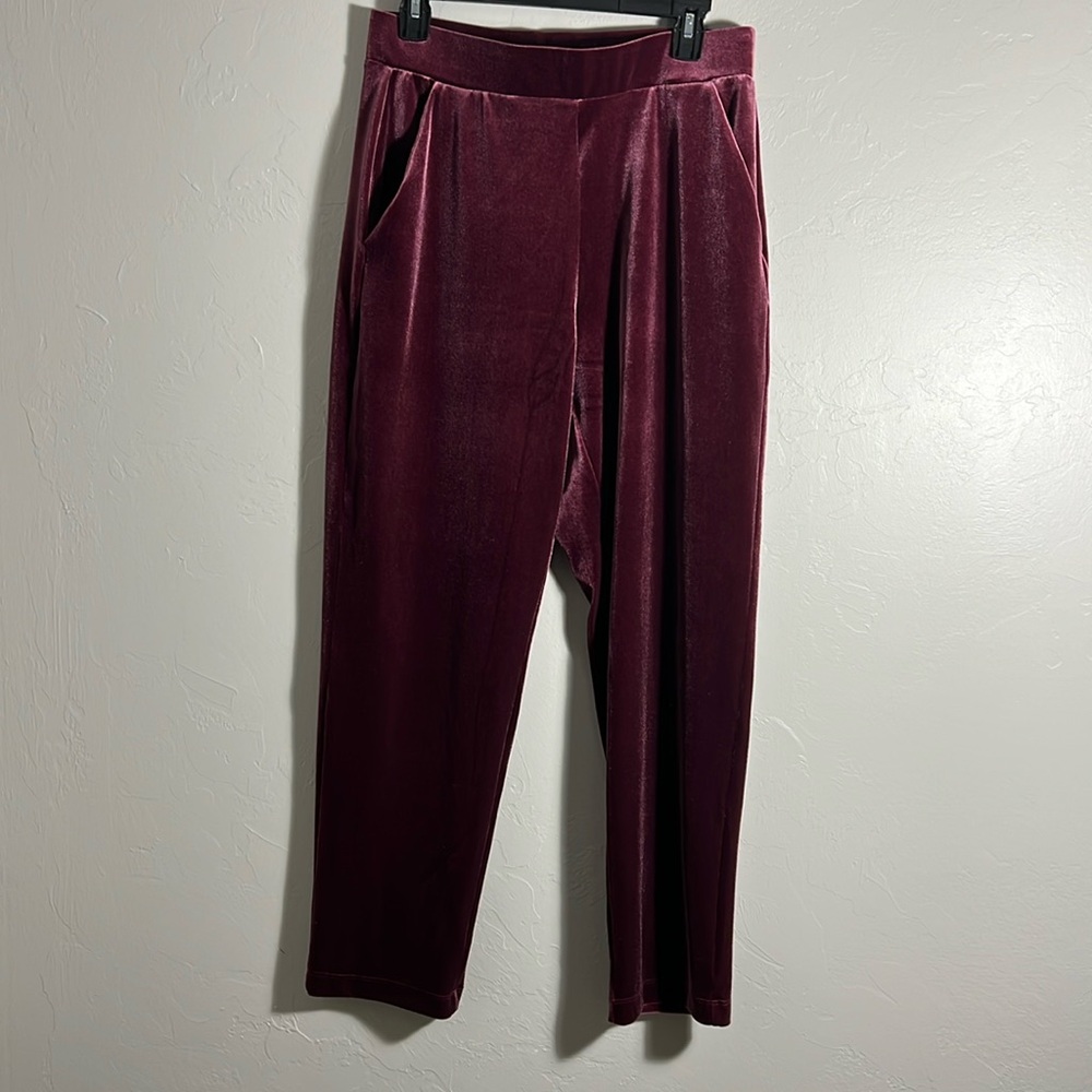 Loft Velour Pants- Women’s M